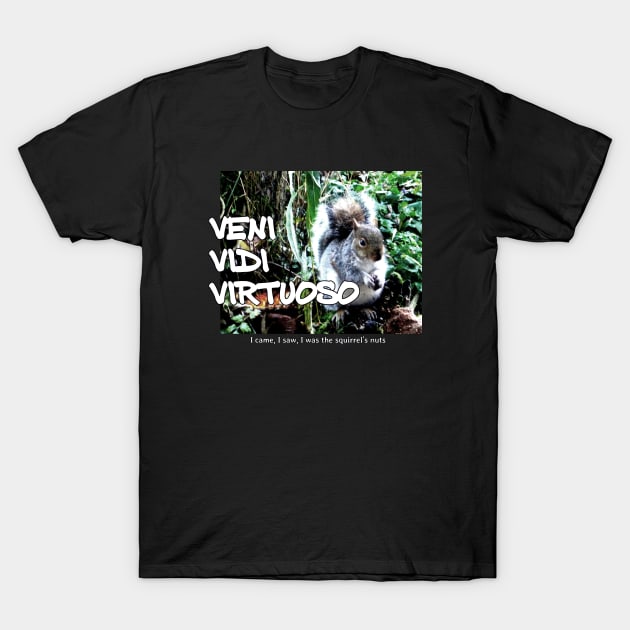 Veni Vidi Virtuoso - I came, I saw, I was the squirrel’s nuts T-Shirt by soitwouldseem